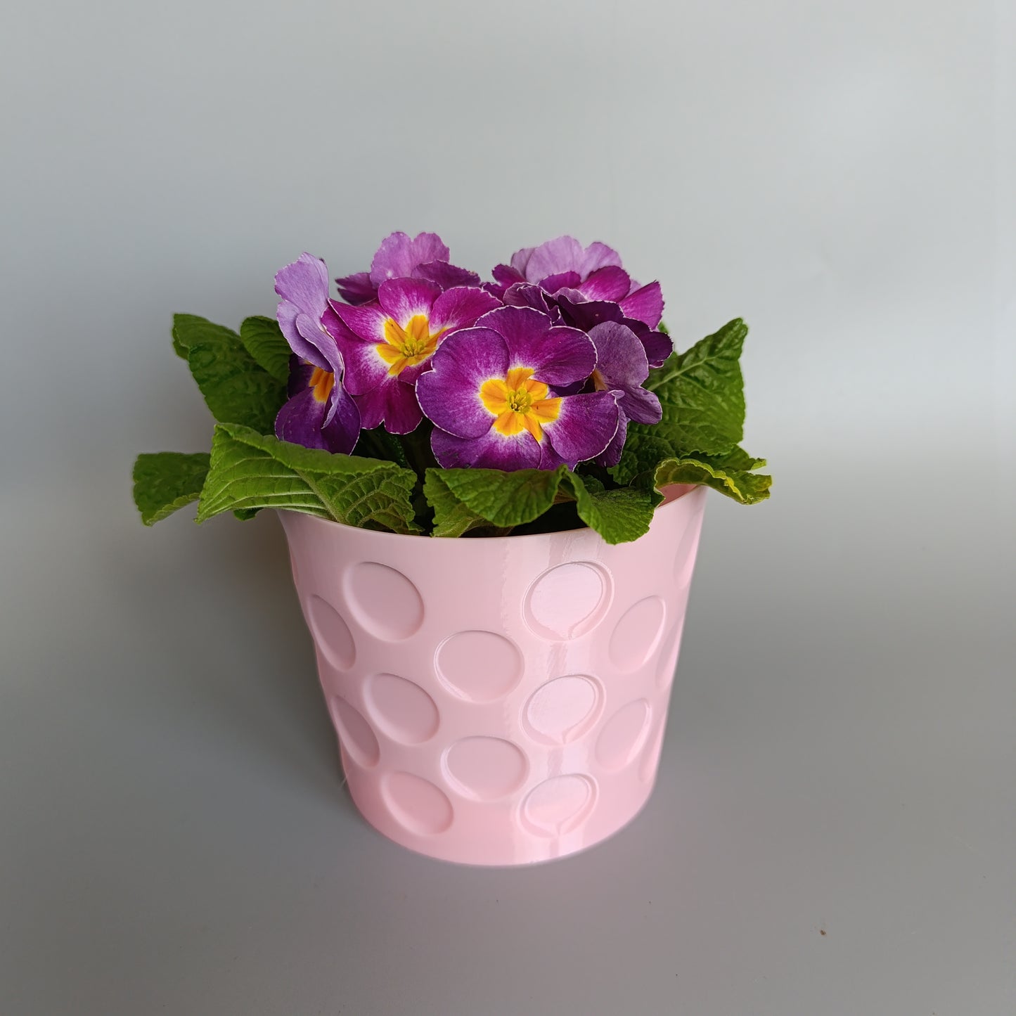 Blumentopf mit Dubbe