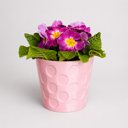 Pfälzer Blumentopf mit Dubbeglas Struktur für Garten und Terrasse